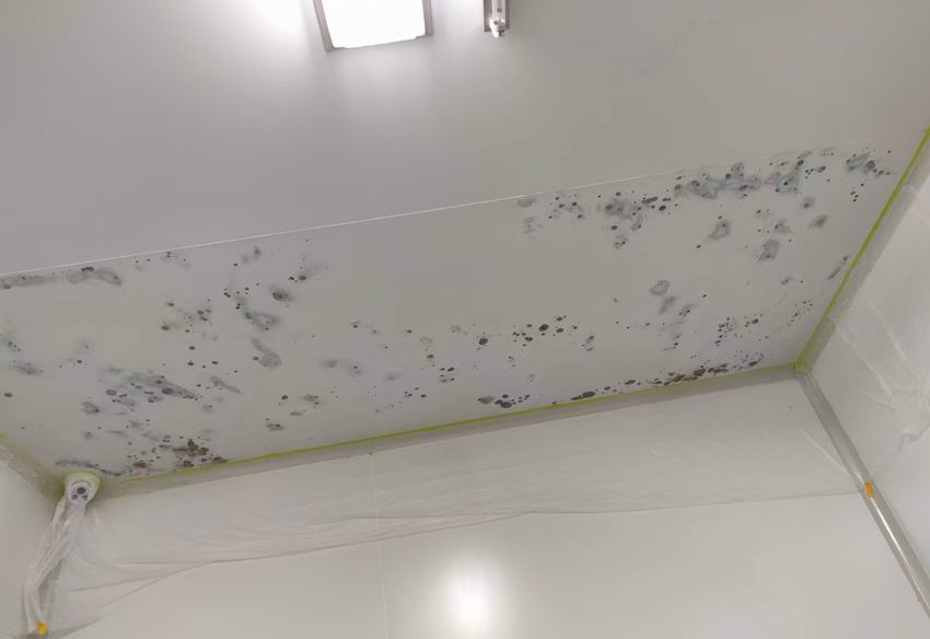 净化板修补面漆